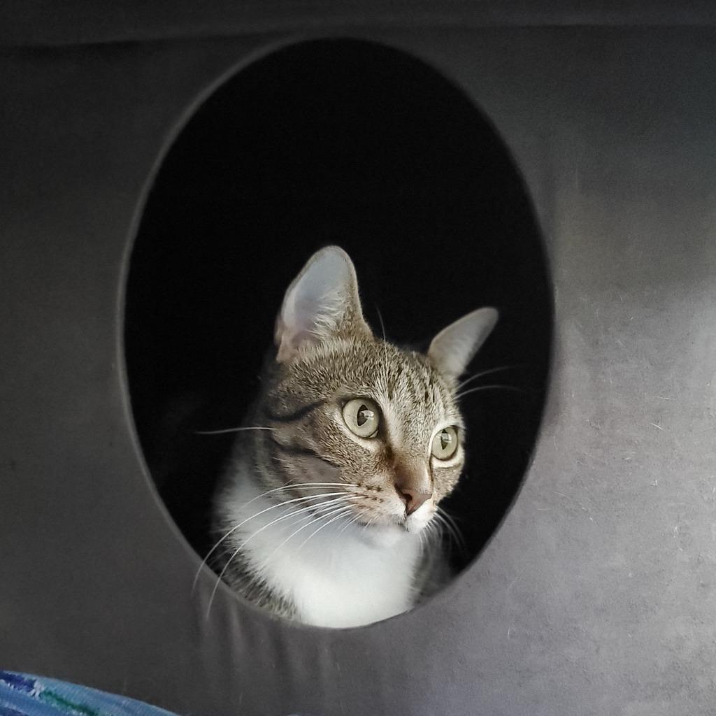 Fiona 5