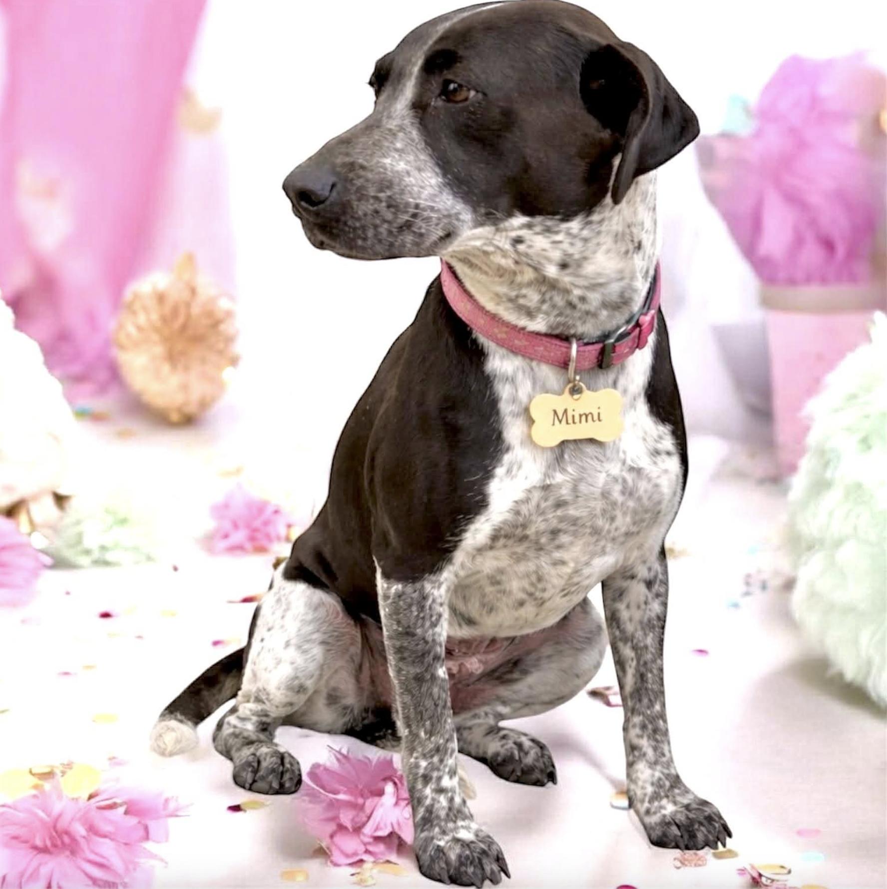 Mimi — thumbnail 2