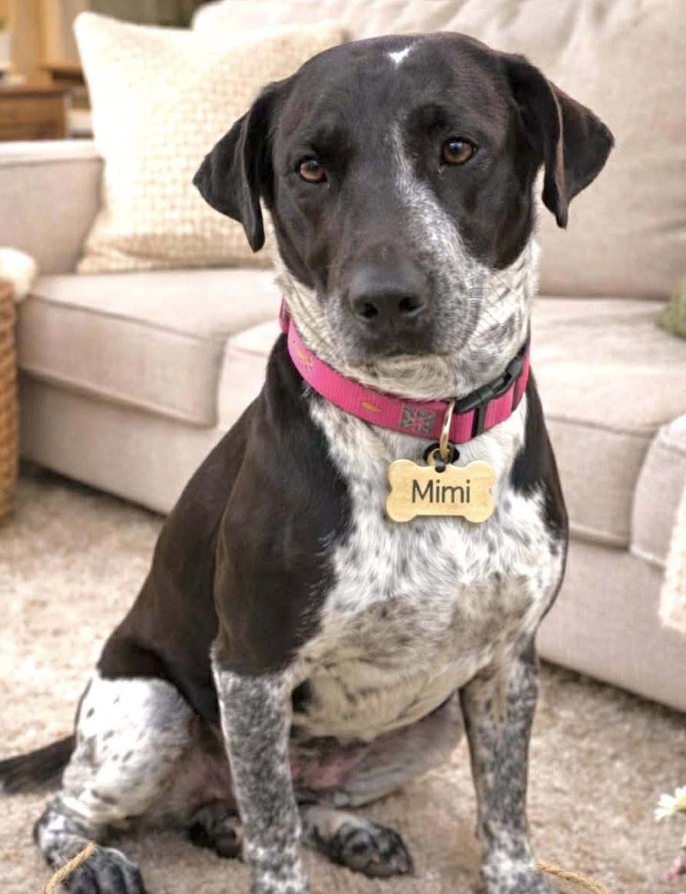 Mimi — thumbnail 3