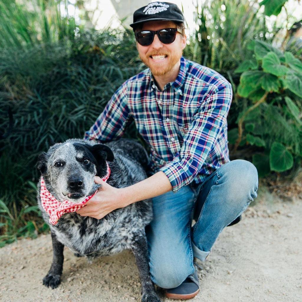 Enlarge Big Girl Gerti (Gertrude) - good w/ dogs, cats, kids, a Adoptable Australian Cattle Dog / Blue Heeler in Los Angeles, CA image 5/6