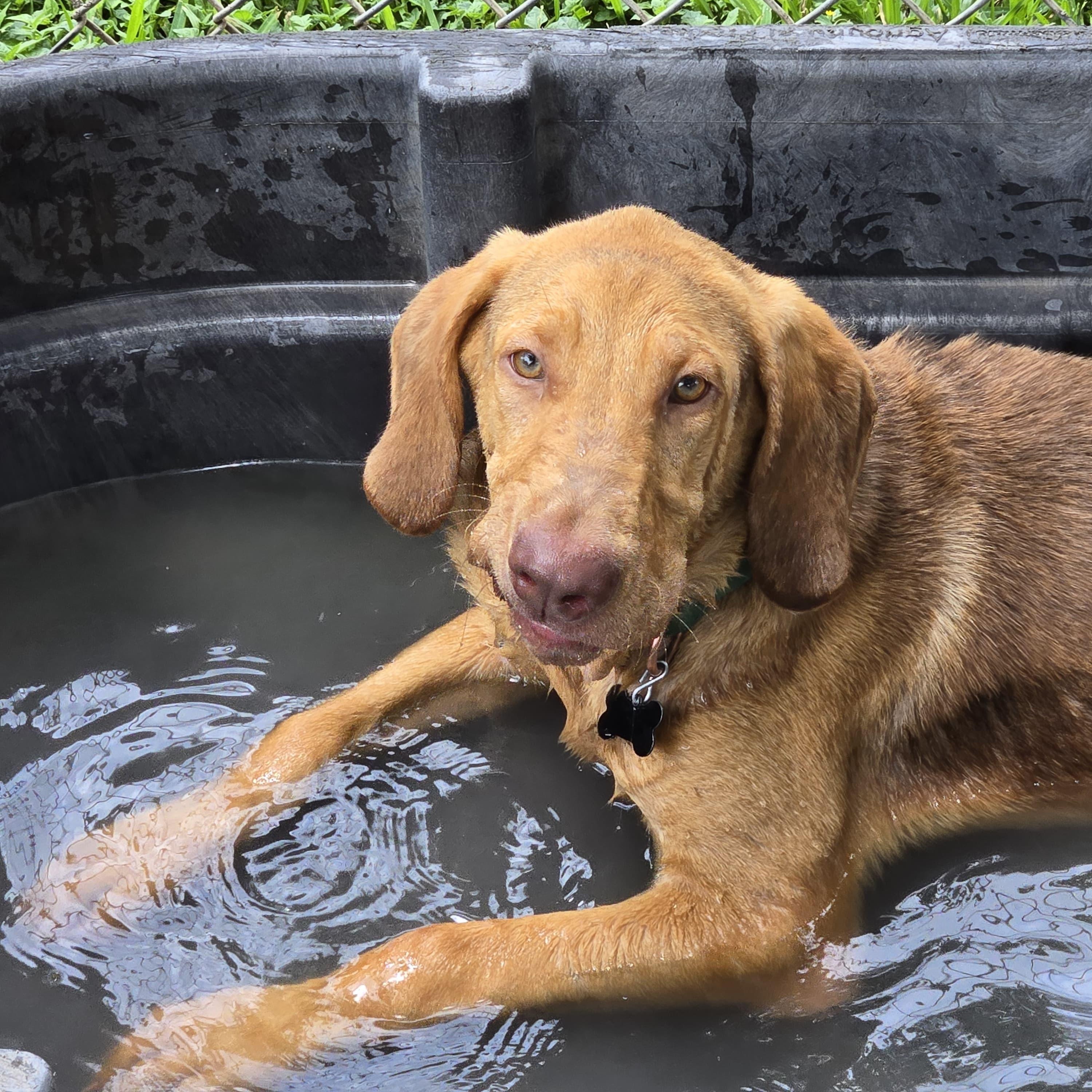 Harrison — thumbnail 4