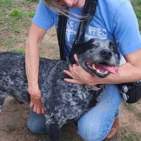 Enlarge Magnum, a Adoptable mixed breed in Rome, NY image 6/6