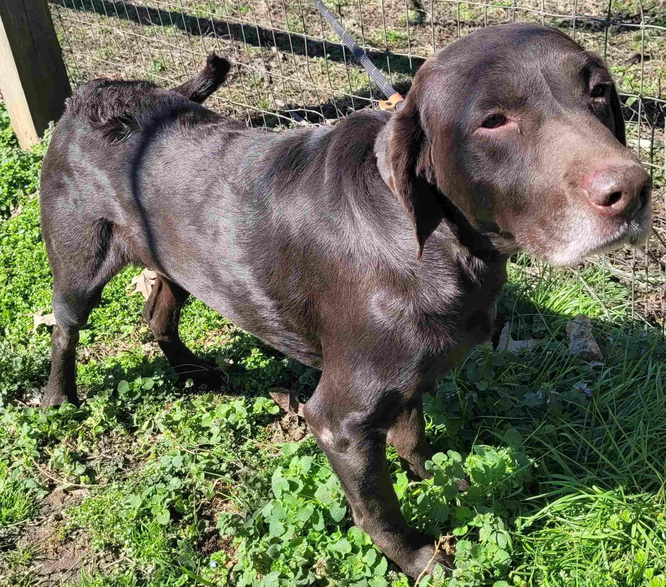 Major #13 — thumbnail 2