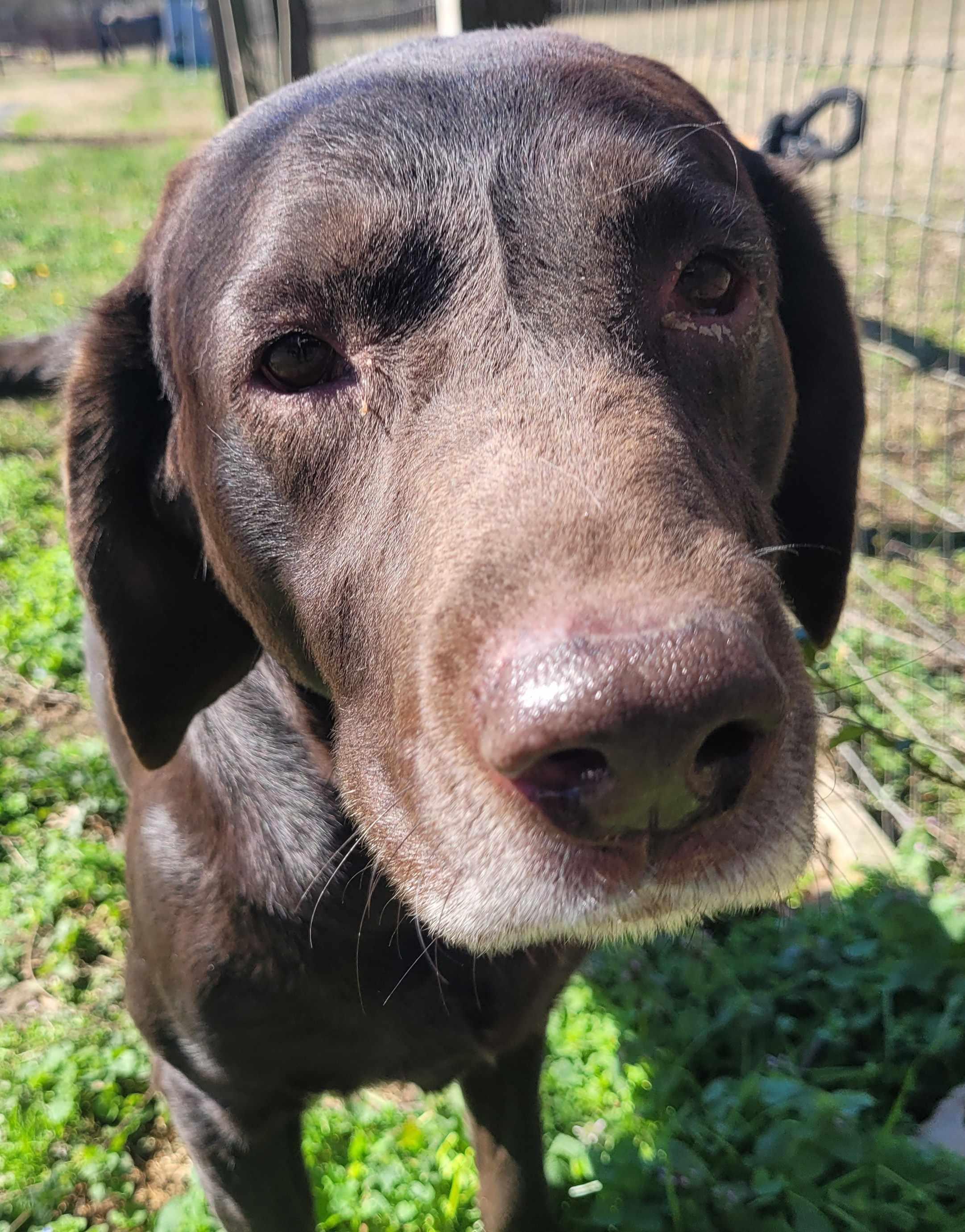 Major #13 — thumbnail 3