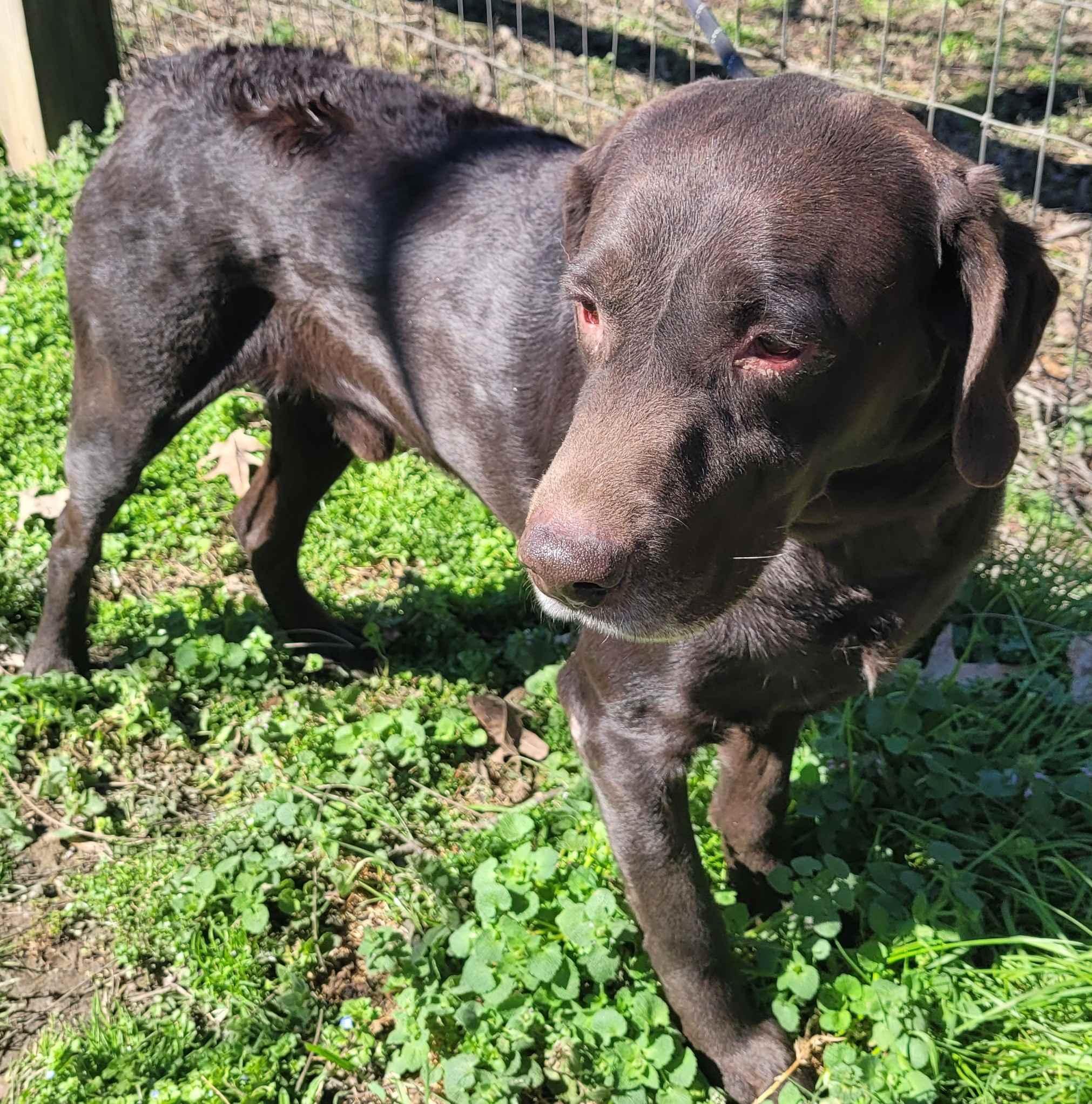 Major #13 — thumbnail 4