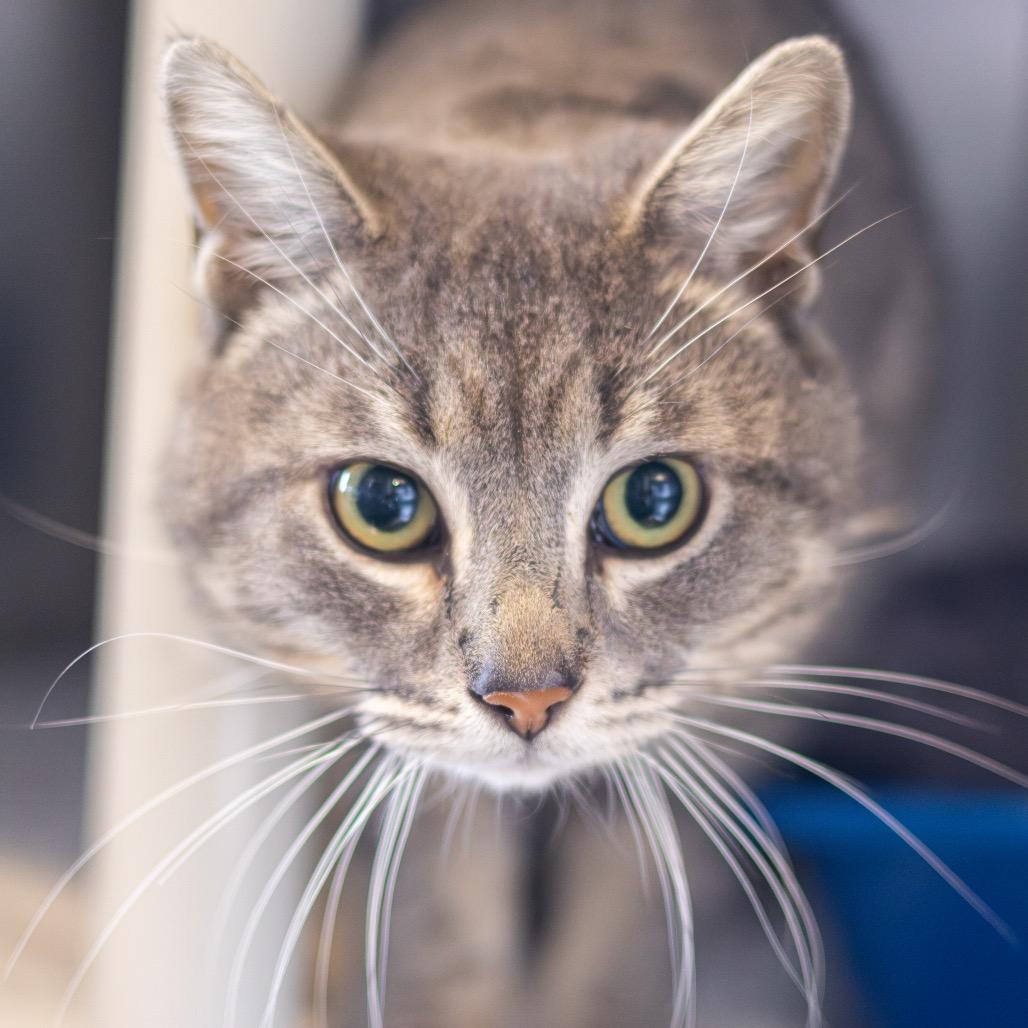 Bernie — thumbnail 2