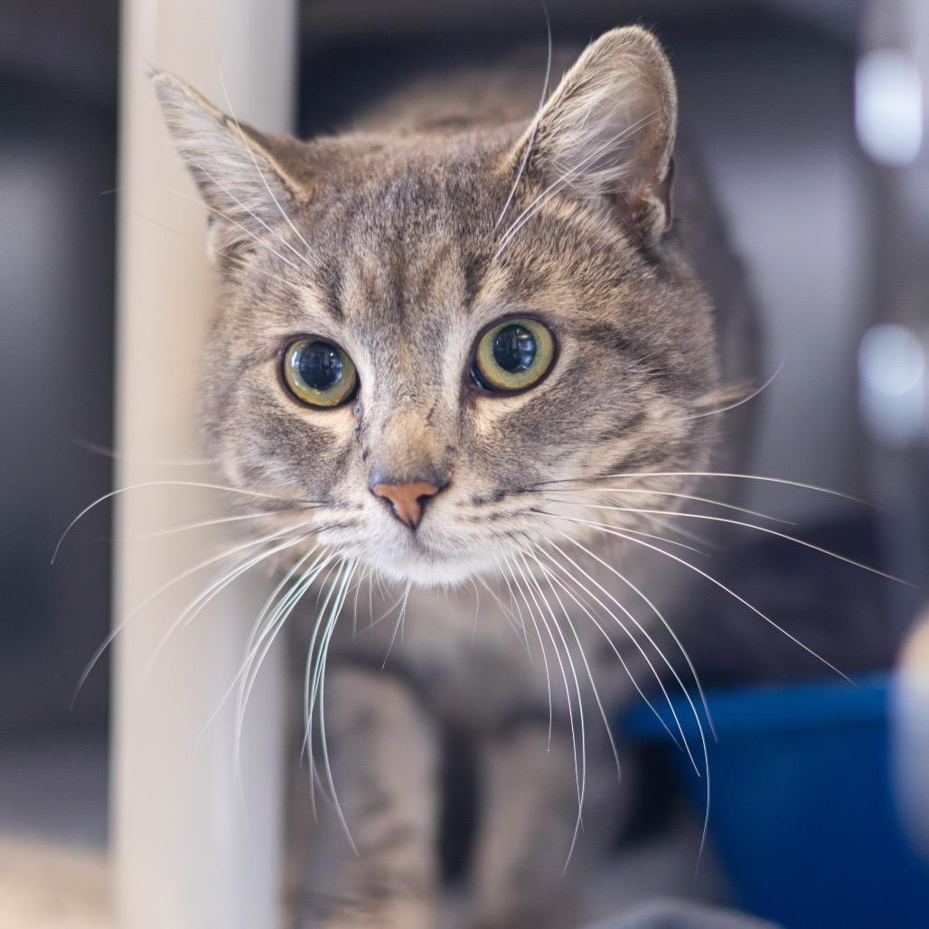 Bernie — thumbnail 3