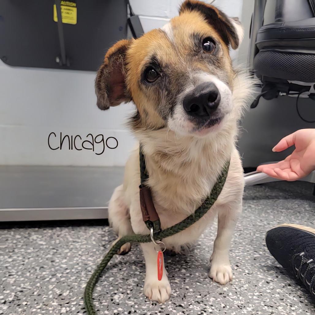 Ellie Mae thumbnail 3