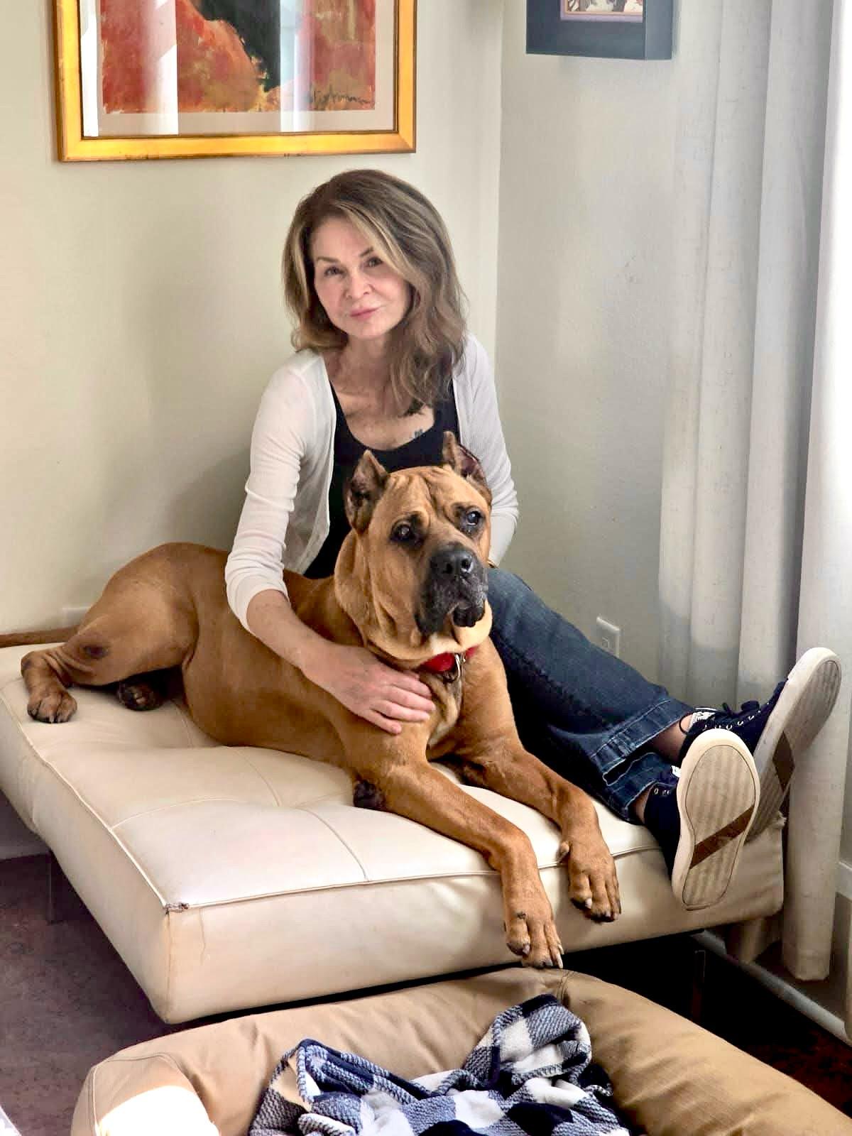 Enlarge Carmi (BLIND), a Adopted Cane Corso in Orlando, FL image 2/6