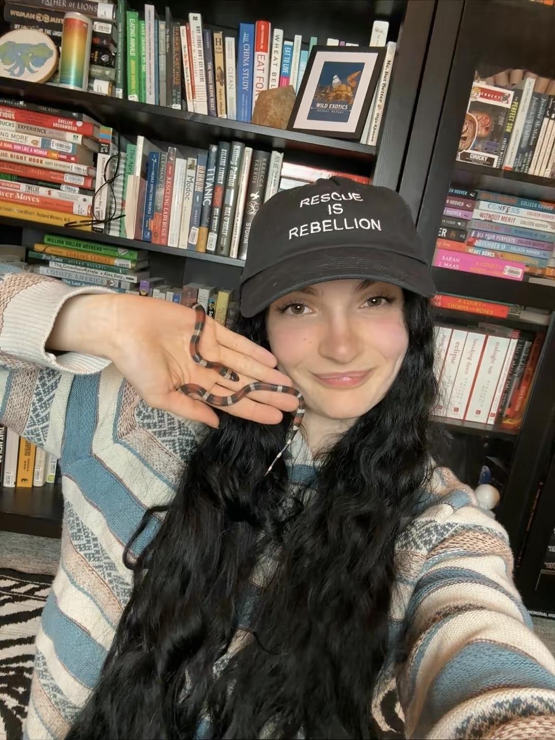 Enlarge Boba, a ADOPTABLE King / Milk in JACKSON, NJ image 2/4