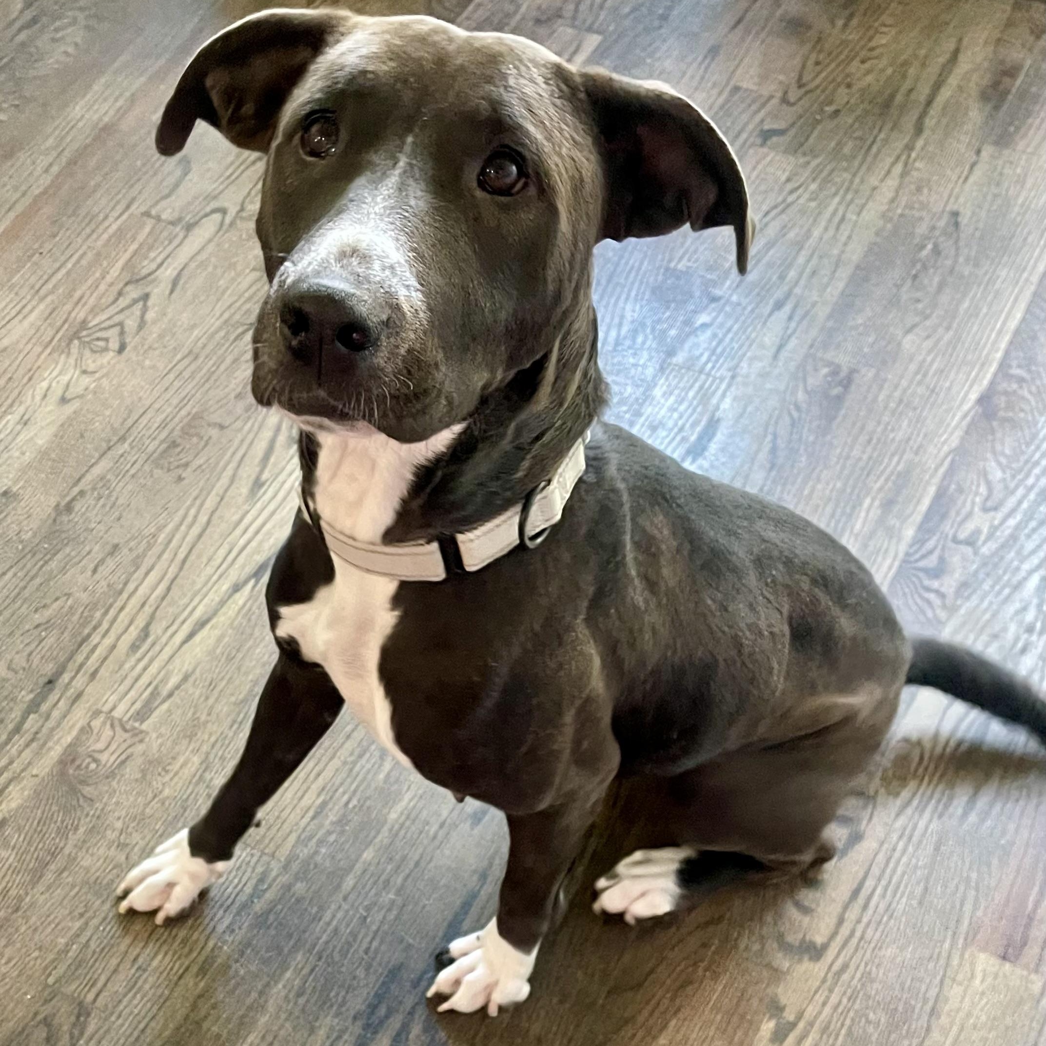 Hillary — thumbnail 5