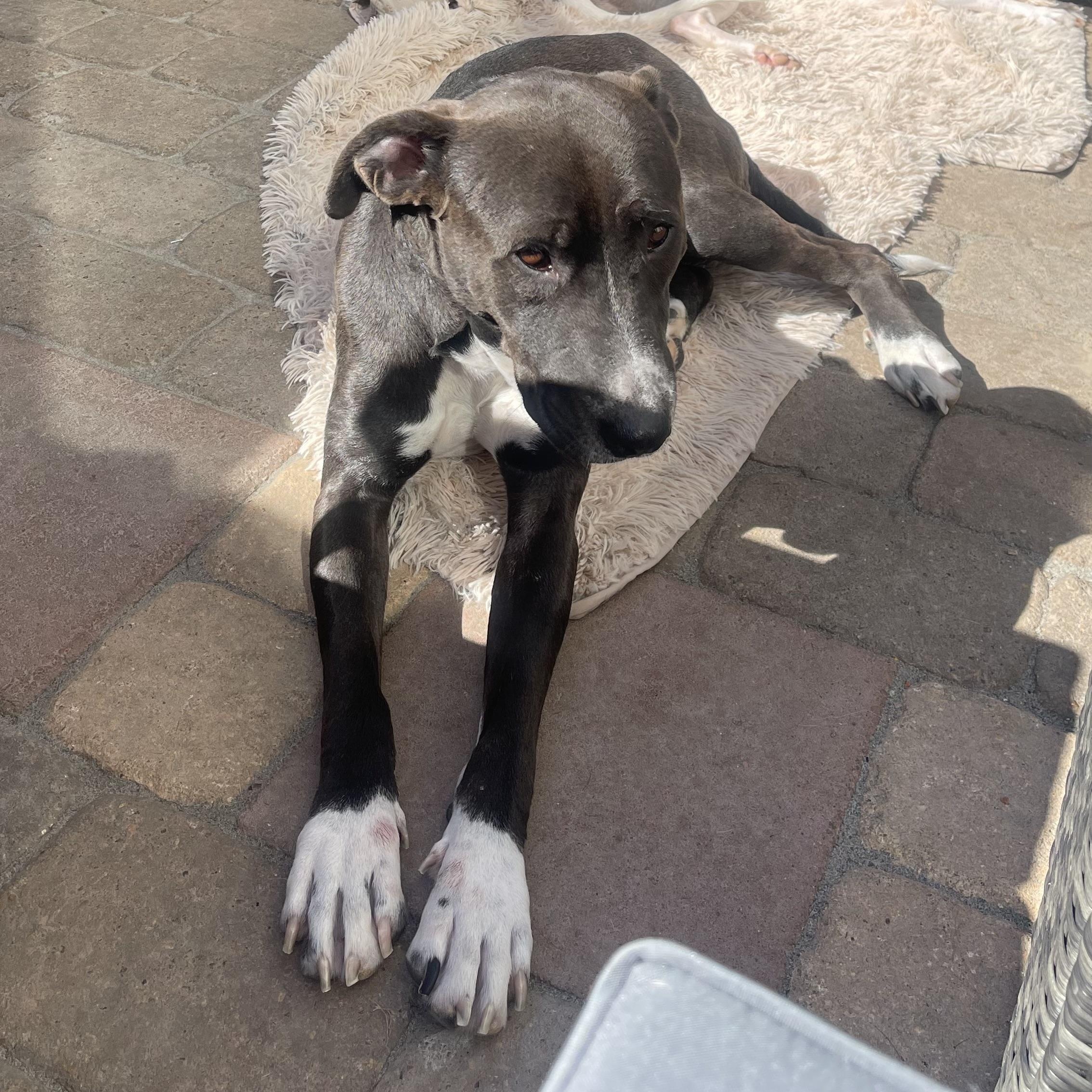 Hillary — thumbnail 6