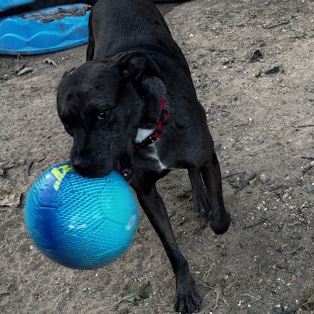 Stella photo 5