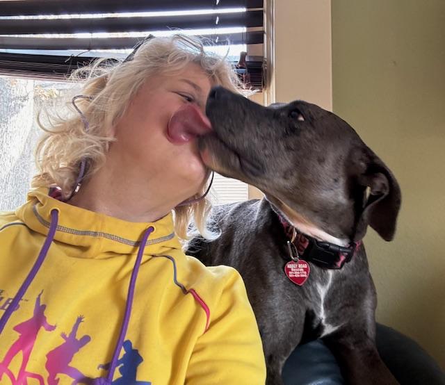 Stella, a Adoptable mixed breed in Little Rock, AR image 5/5