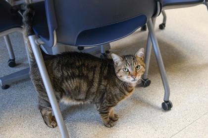 Winky — thumbnail 2