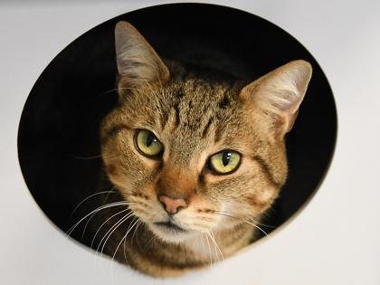 Winky — thumbnail 3