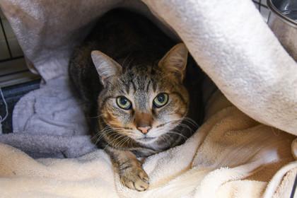 Winky — thumbnail 5