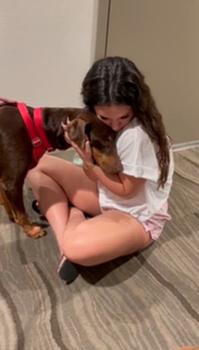 Enlarge Blammo, a ADOPTABLE Doberman Pinscher in Carlsbad, CA video 4/6