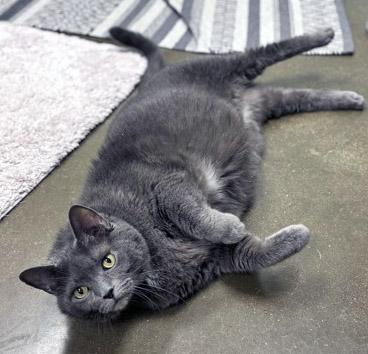 Hootie — thumbnail 2