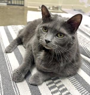 Hootie — thumbnail 3