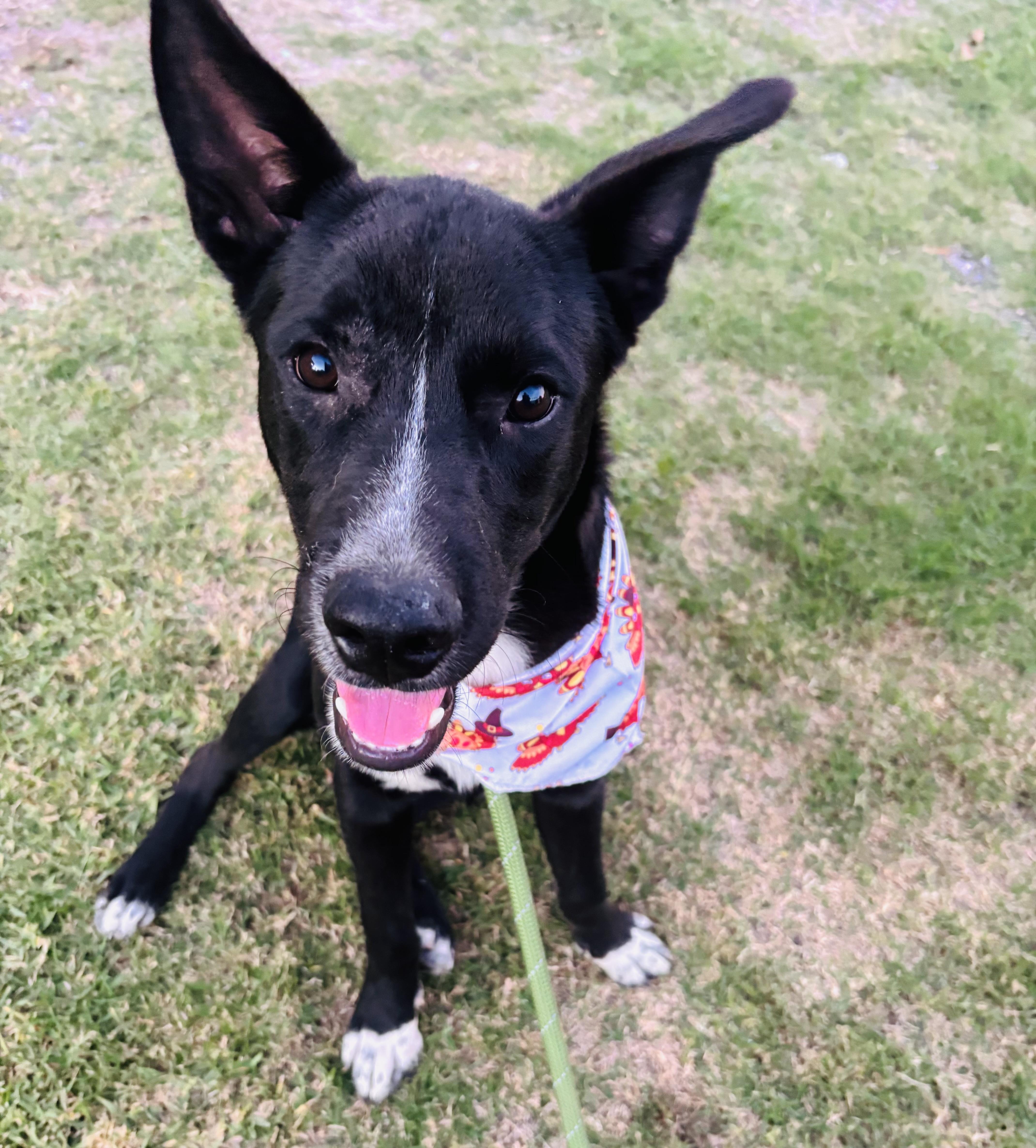 Rocky Boy thumbnail 4