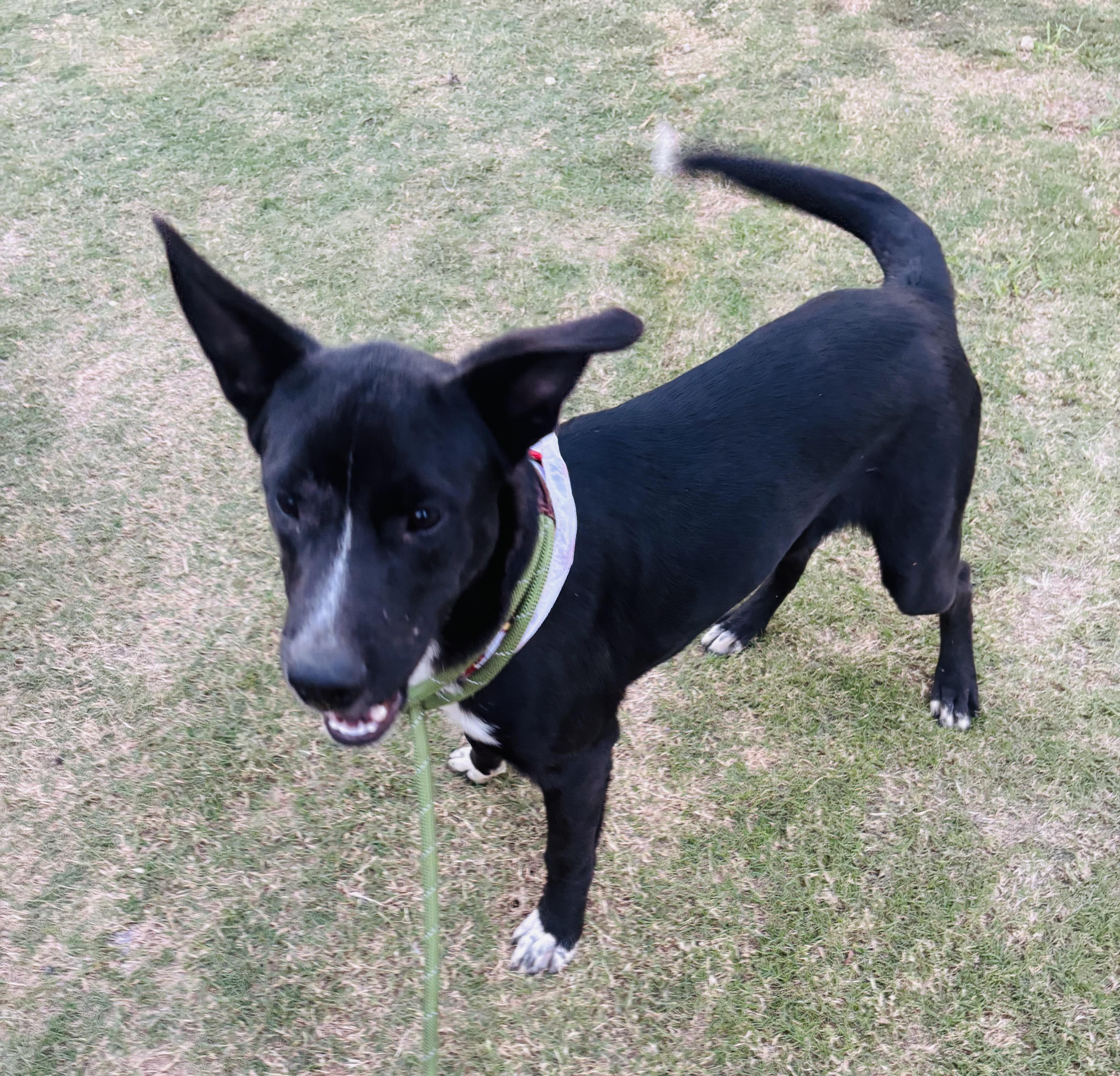 Rocky Boy thumbnail 5