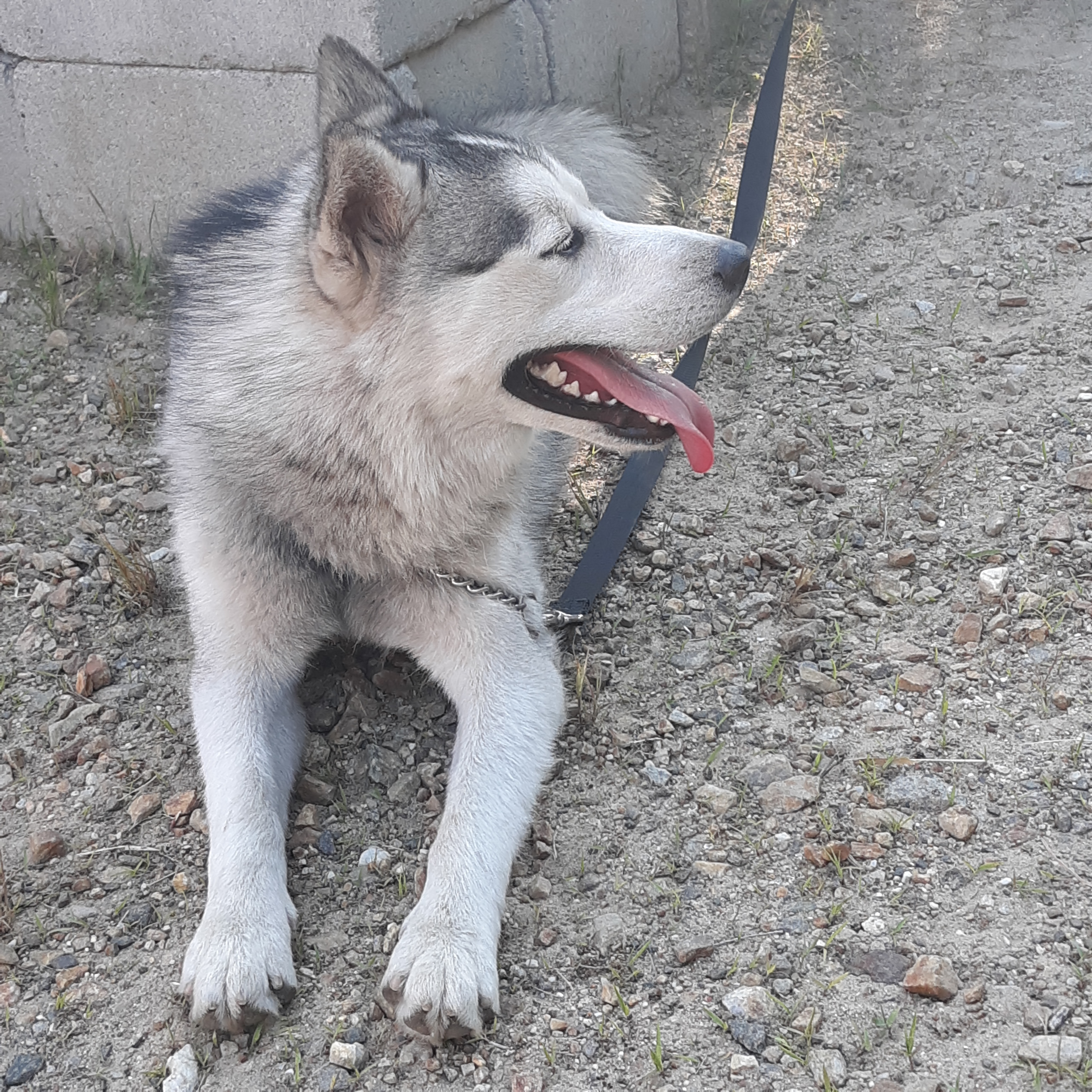 Champ photo 4