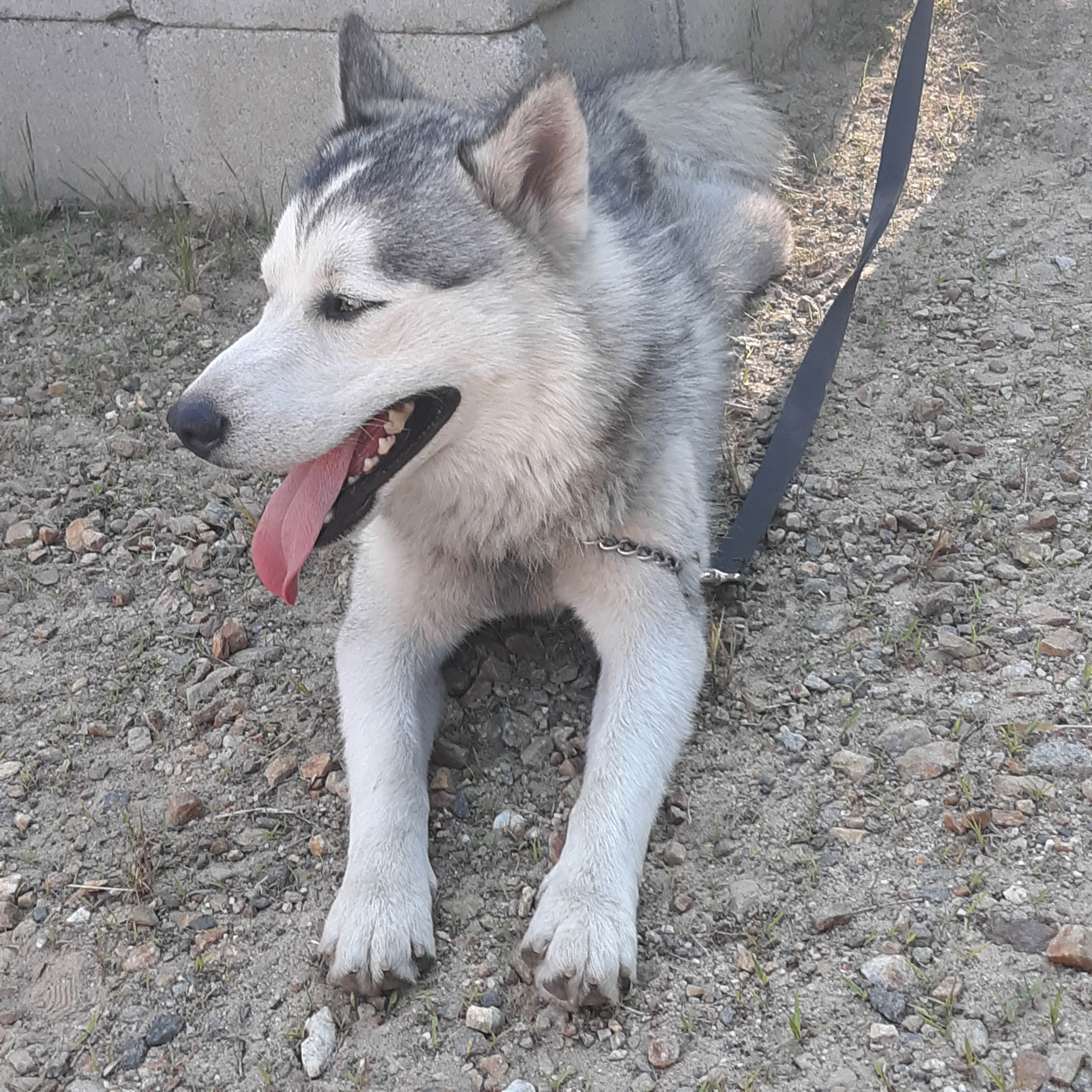 Champ photo 5