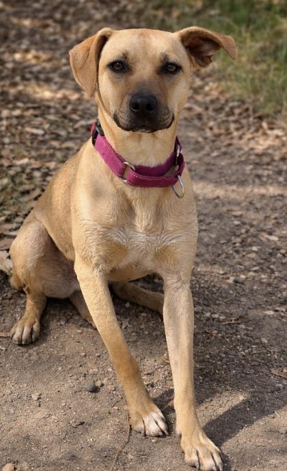 Felicity — thumbnail 2