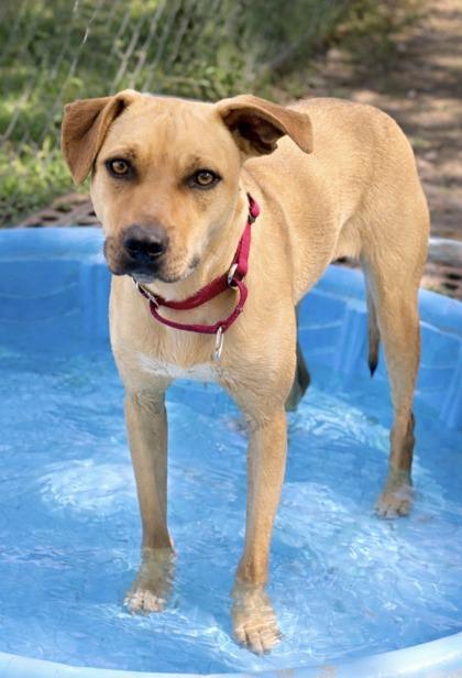 Felicity — thumbnail 3