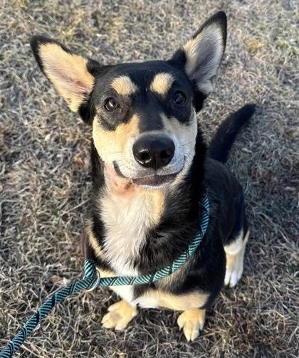 Nikki — thumbnail 3