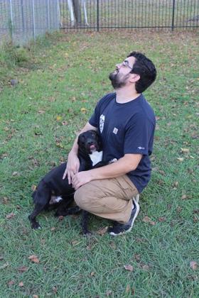 Kai, Adoptable, Adult Male Pit Bull Terrier & Mixed Breed.