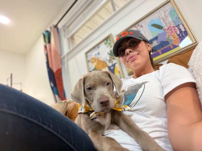 Enlarge Ryan Ark, a Adopted mixed breed in Orem, UT image 3/6