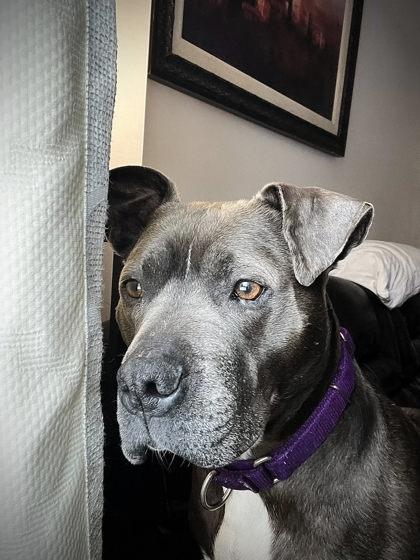 Maxine — thumbnail 2