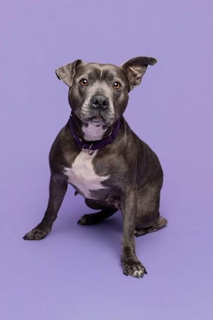 Maxine — thumbnail 3