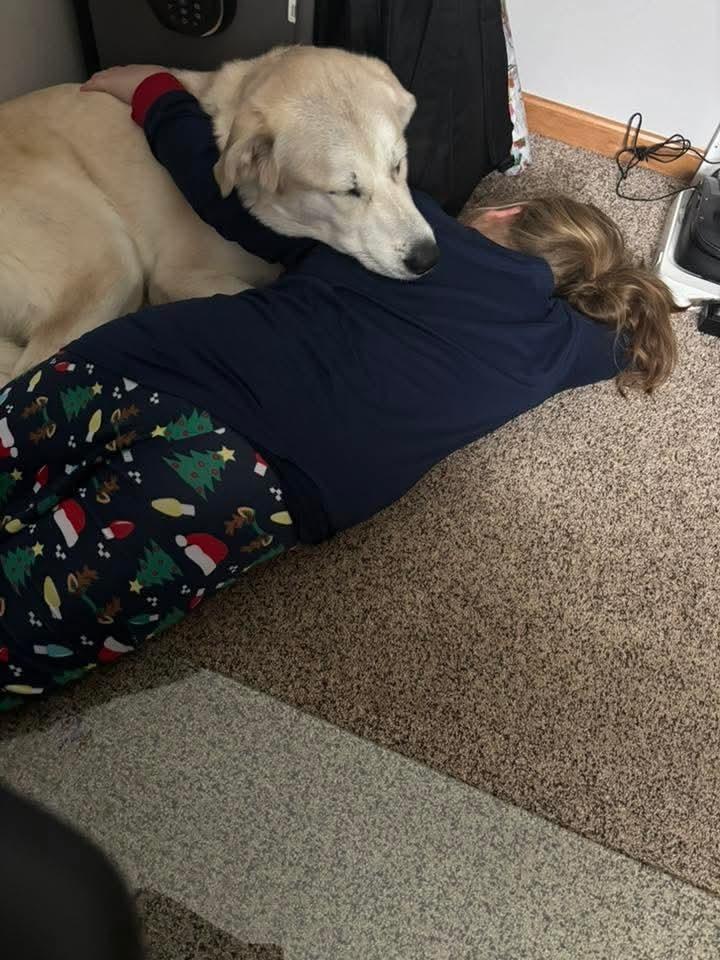 Enlarge Aspen Lee, a Adoptable mixed breed in Wausau, WI image 4/6