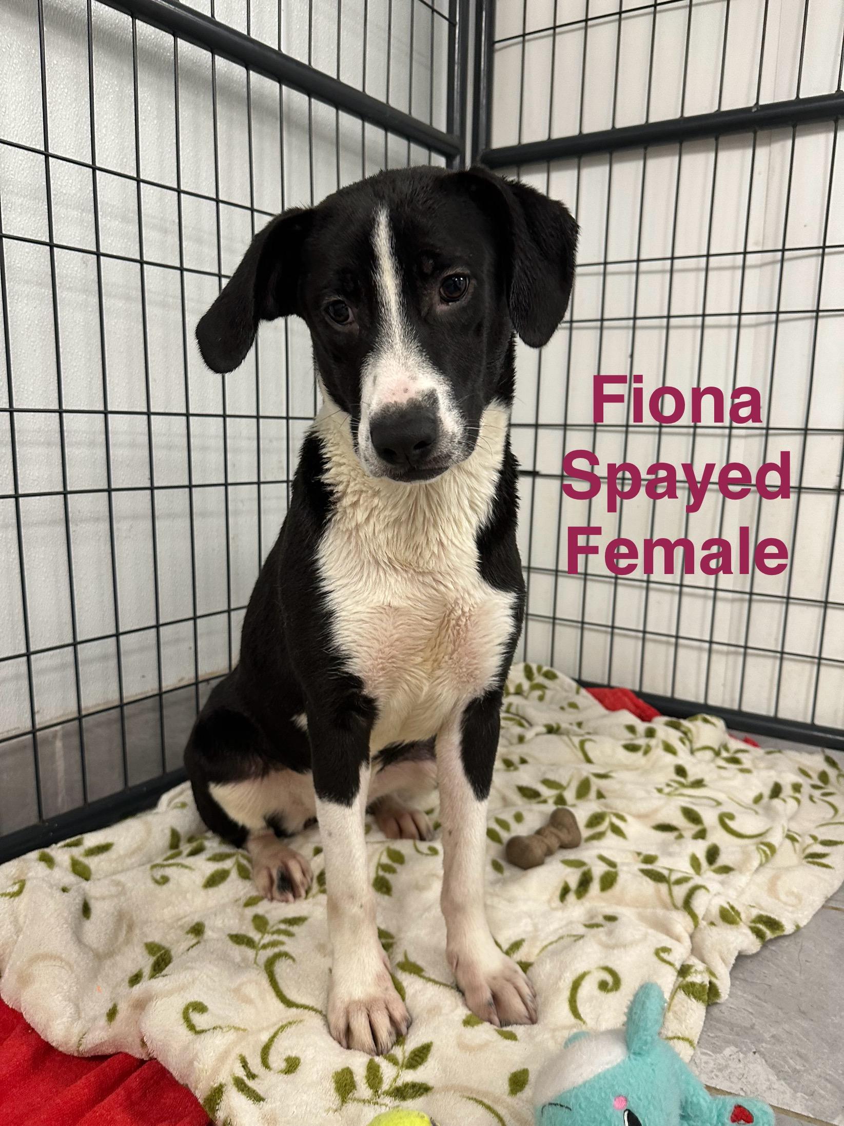 Fiona