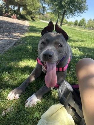 Roxy photo 2