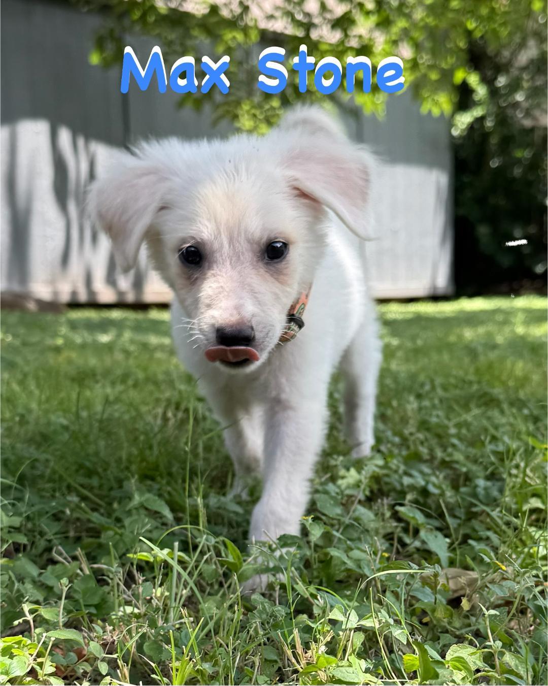 Max Stone