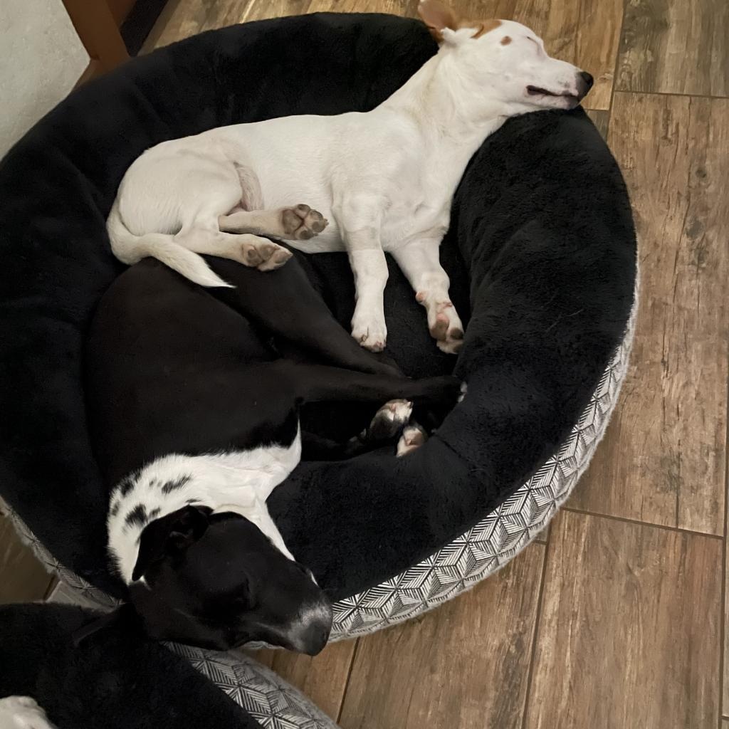 River — thumbnail 2