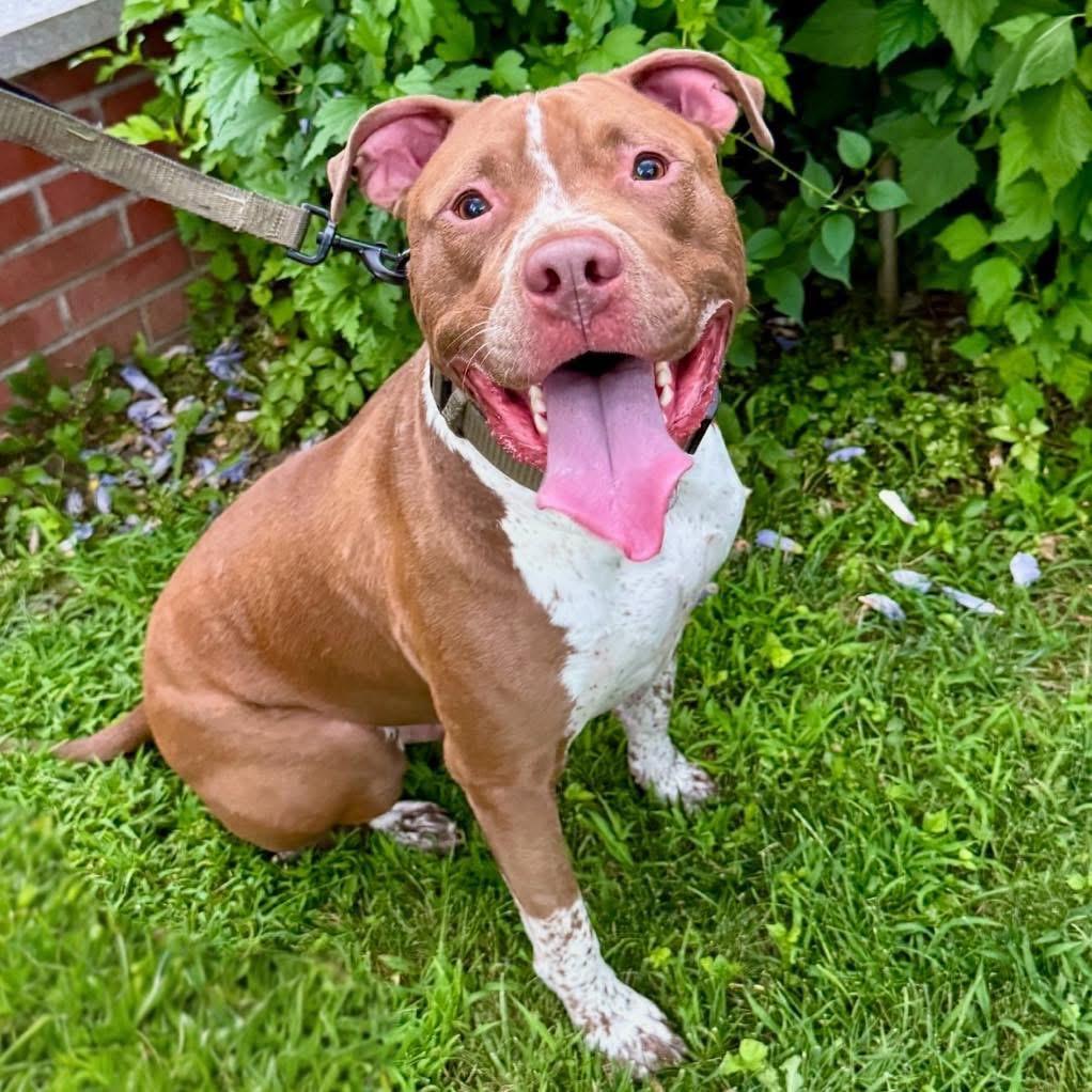 Zeus photo 5