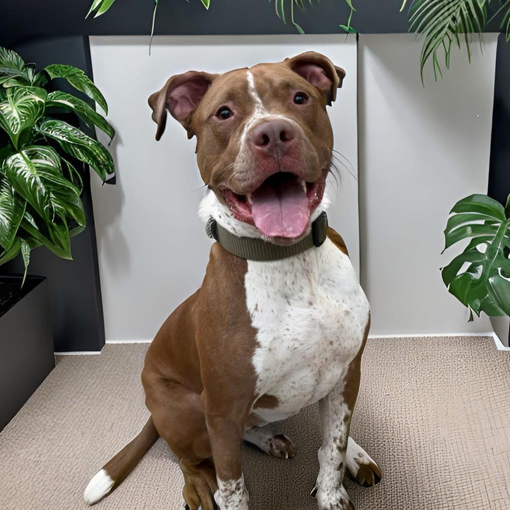 Zeus photo 3