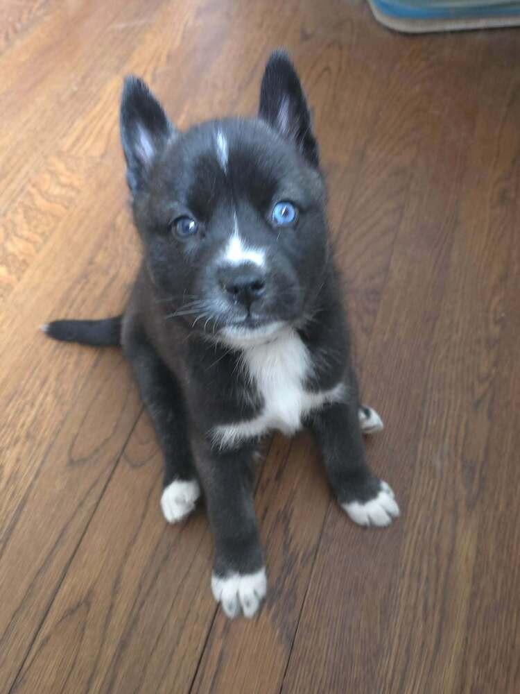 Andi — thumbnail 2