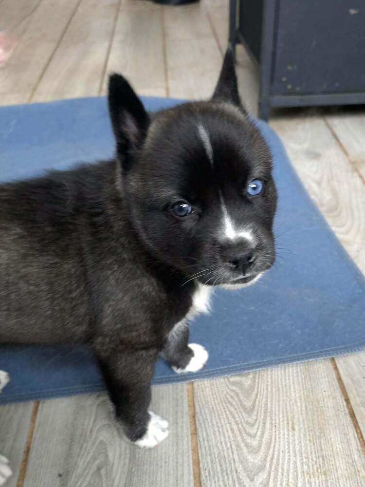 Andi — thumbnail 3