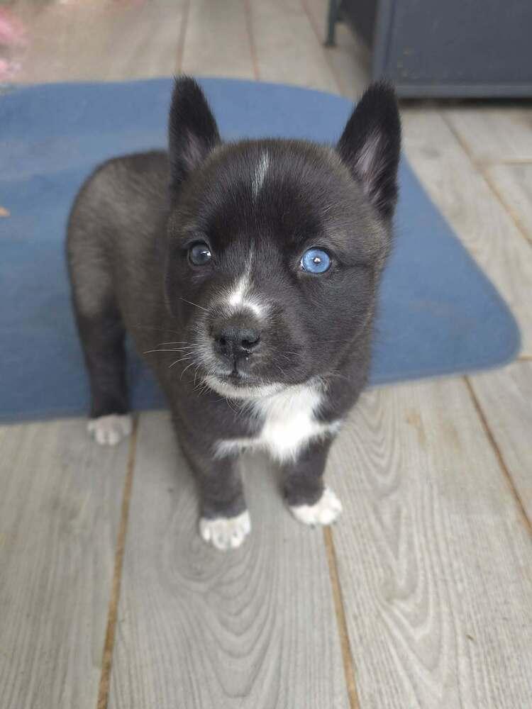 Andi — thumbnail 4