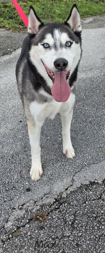 Max