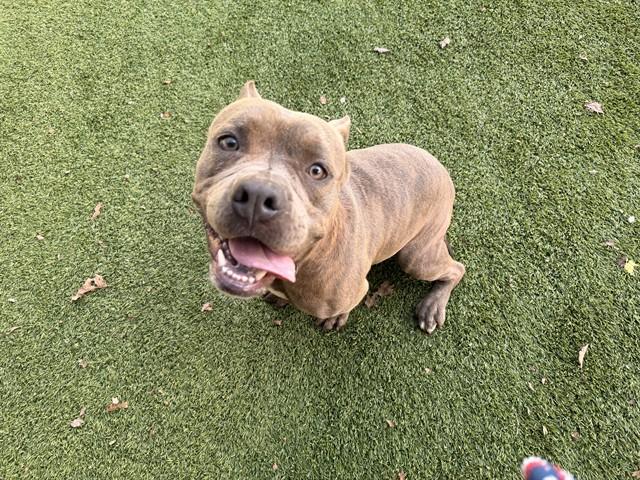 HALO — thumbnail 2