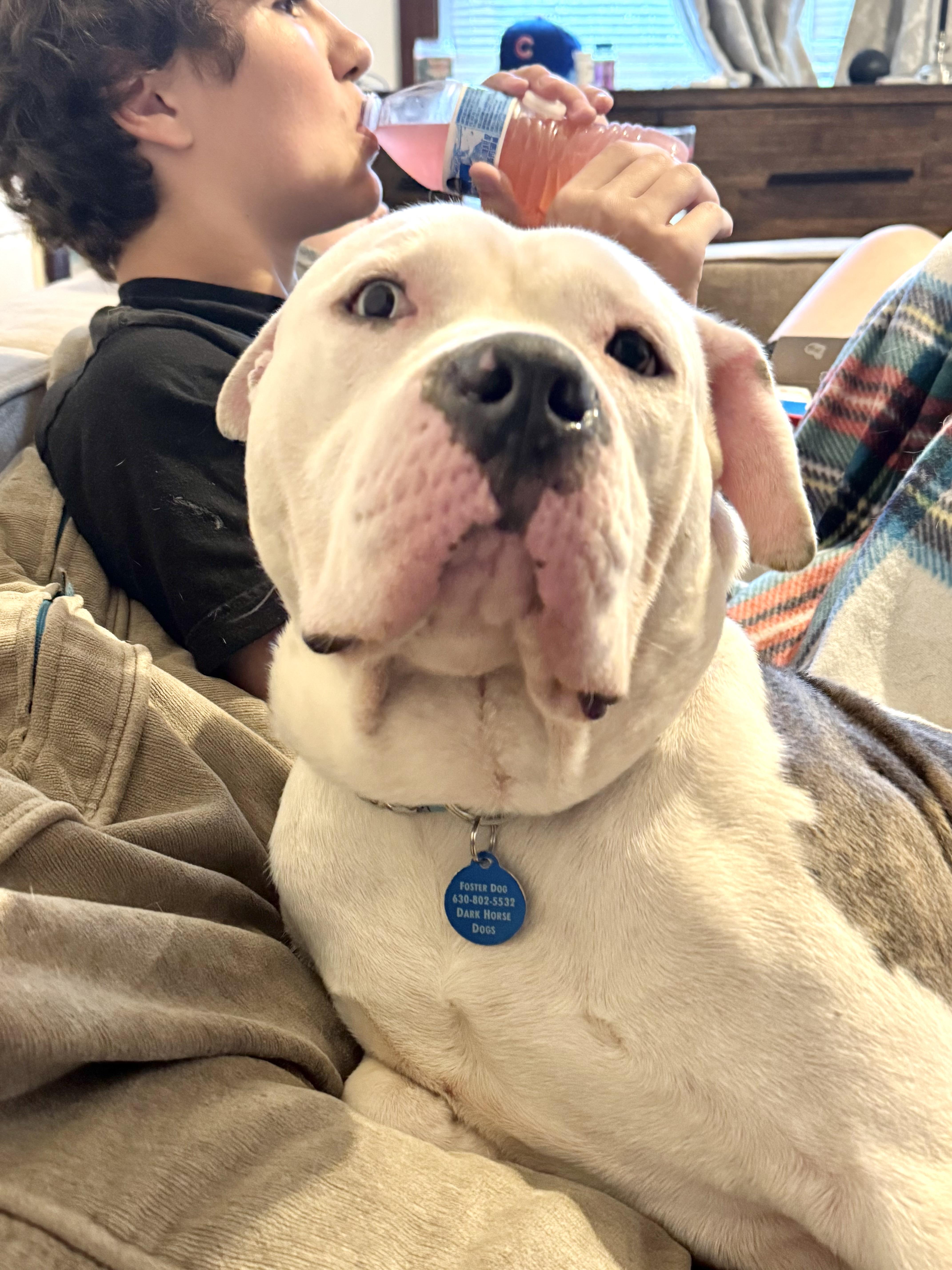 Nash