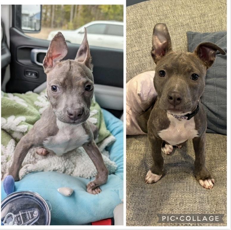 Pippi Longstocking — thumbnail 5