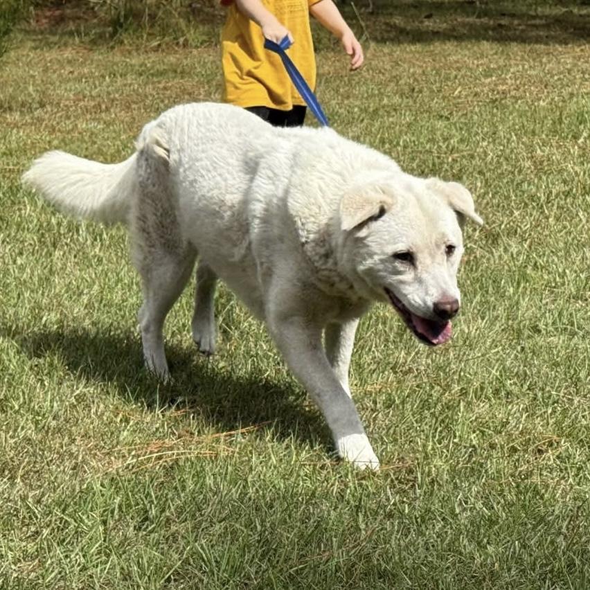 Snowbee — thumbnail 3